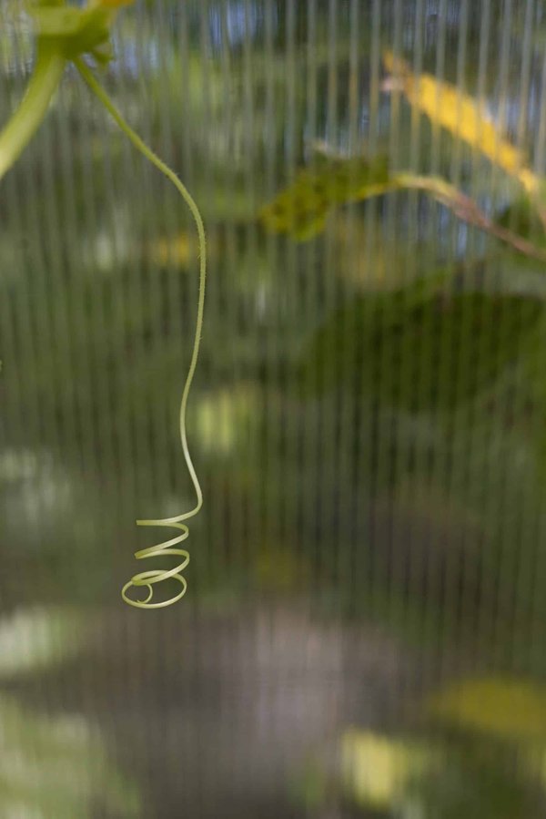 Comment une entreprise de restauration peut-elle légalement adapter ses menus aux restrictions alimentaires sans discriminer?